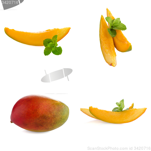 Image of Set of mango fruit