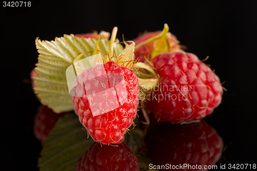 Image of Fresh raspberries