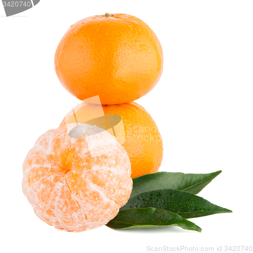 Image of Ripe tangerine or mandarin