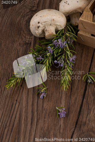 Image of Champignons in a wooden box