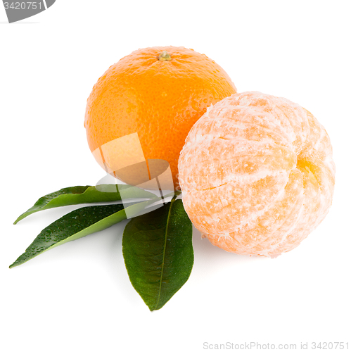 Image of Ripe tangerine or mandarin