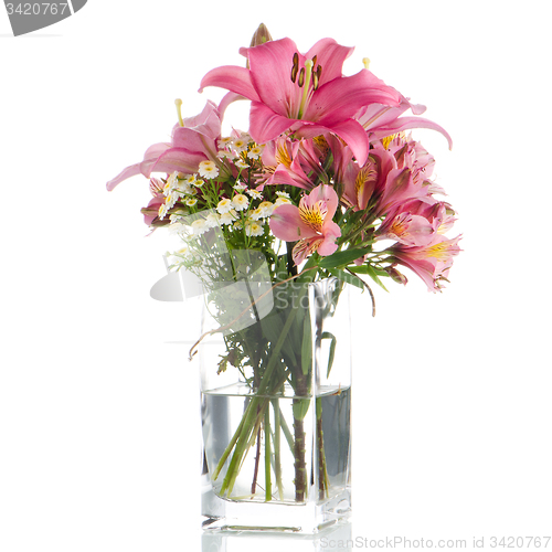 Image of Pink lilies