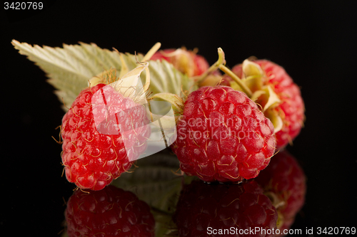 Image of Fresh raspberries