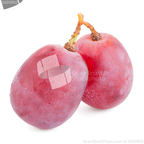 Image of Red grape