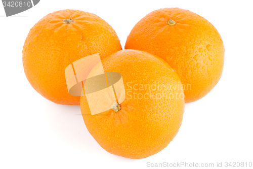 Image of Ripe tangerine or mandarin