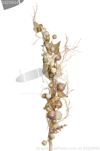 Image of Golden Christmas decoration branches