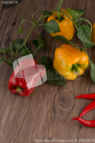 Image of Colored bell peppers