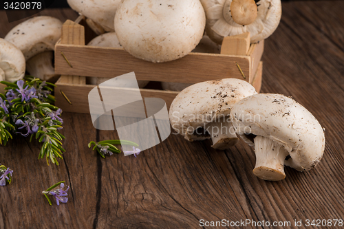 Image of Champignons in a wooden box