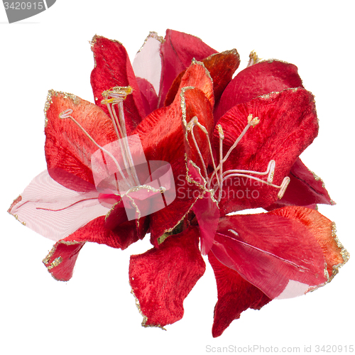 Image of Red Christmas decoration