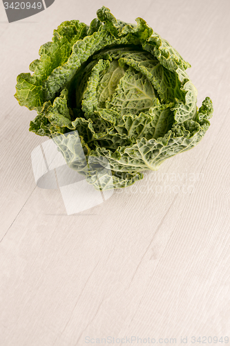 Image of Savoy cabbage