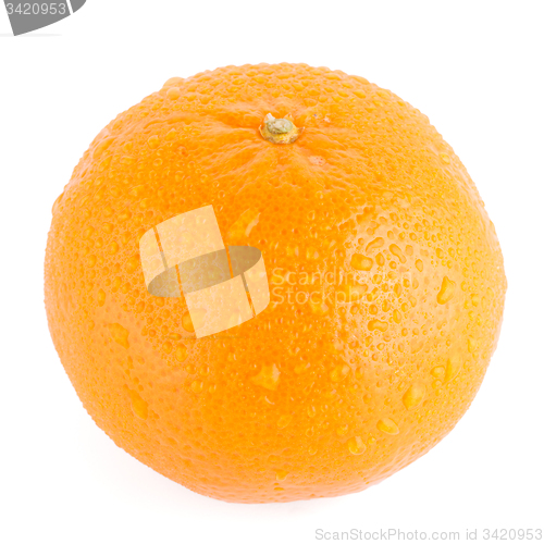 Image of Ripe tangerine or mandarin