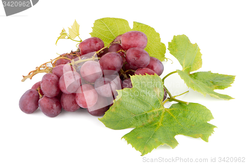 Image of Bunch of red grapes