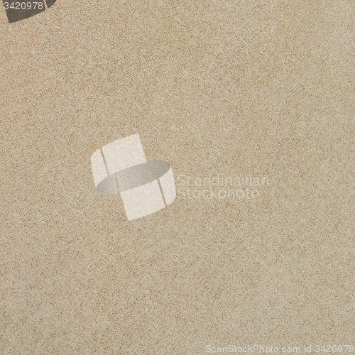 Image of Beige leather