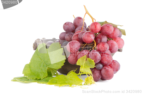 Image of Bunch of red grapes