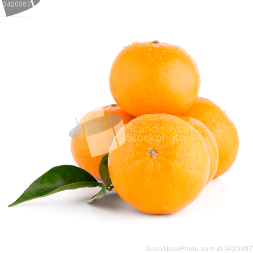 Image of Ripe tangerine or mandarin
