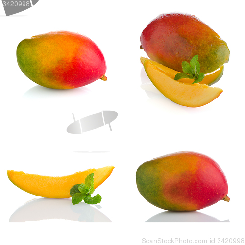 Image of Set of mango fruit