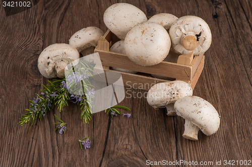 Image of Champignons in a wooden box