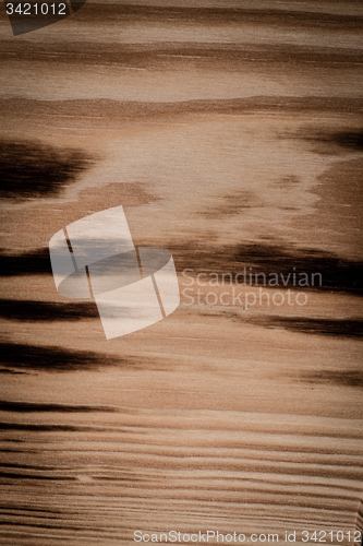 Image of  Burned pine wood background