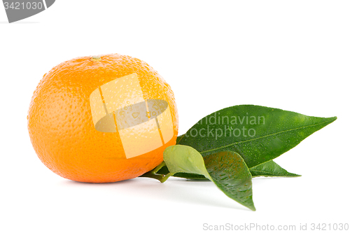 Image of Ripe tangerine or mandarin