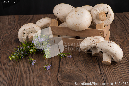 Image of Champignons in a wooden box