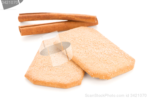 Image of Cinnamon cookie 