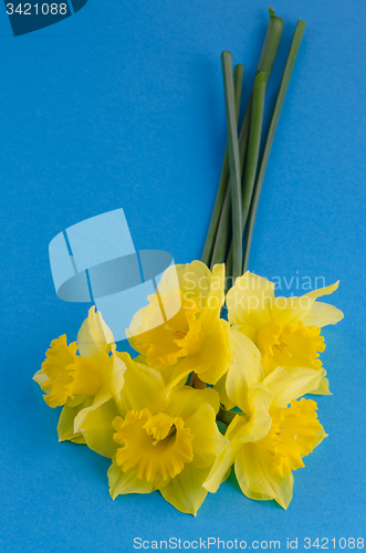 Image of Jonquil flowers