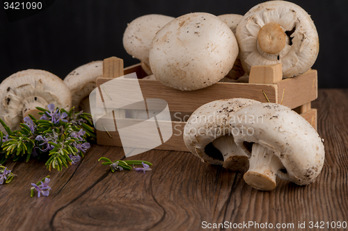 Image of Champignons in a wooden box