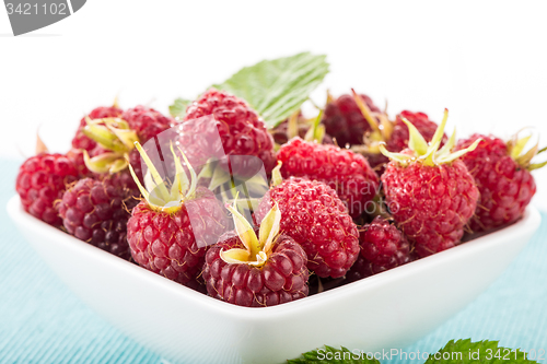 Image of Fresh raspberry