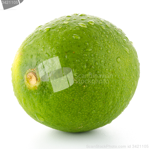 Image of Fresh green lime