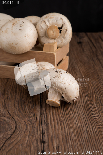 Image of Champignons in a wooden box