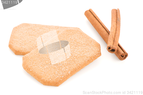 Image of Cinnamon cookie 