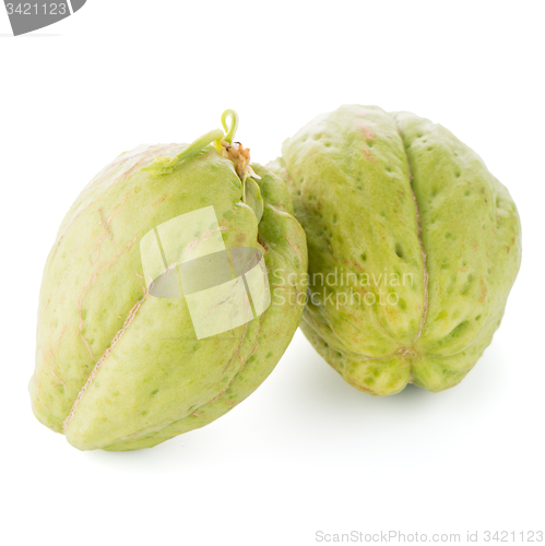 Image of Chayote