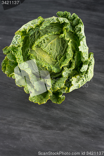 Image of Savoy cabbage