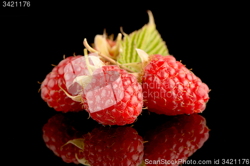 Image of Fresh raspberries