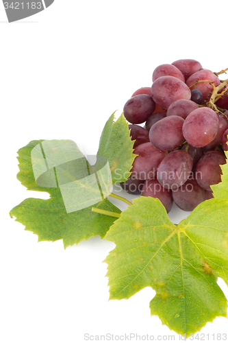 Image of Bunch of red grapes