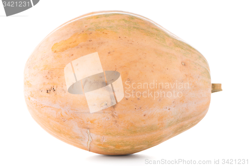 Image of Calabash pumpkin
