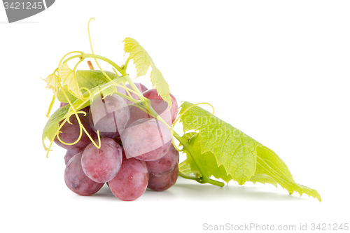 Image of Red grape