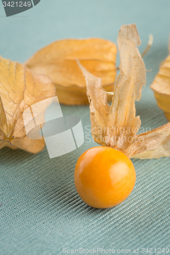 Image of Physalis fruits