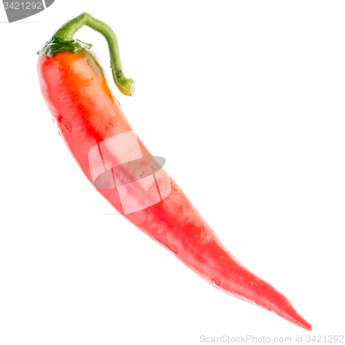 Image of Red chilli pepper