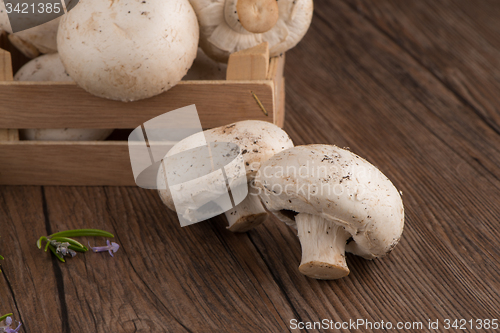Image of Champignons in a wooden box