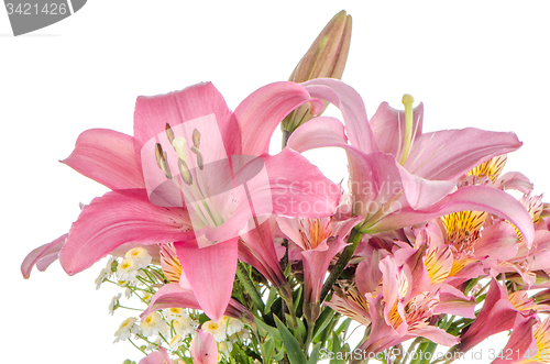 Image of Pink lilies