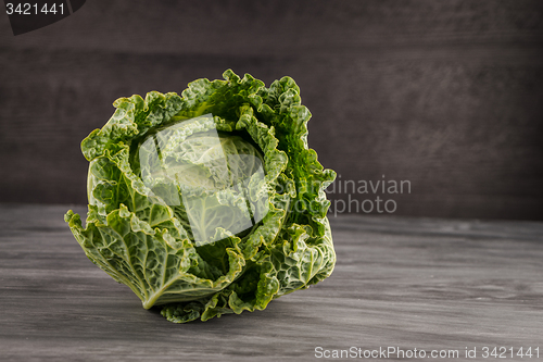 Image of Savoy cabbage