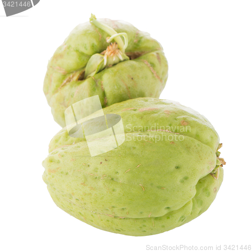 Image of Chayote