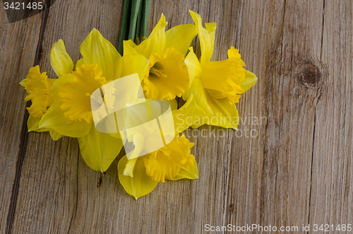 Image of Jonquil flowers