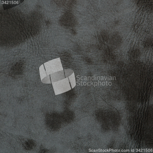 Image of Grey leather texture closeup