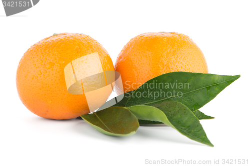 Image of Ripe tangerine or mandarin