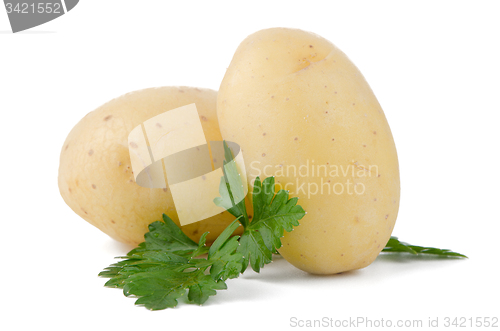 Image of New potatoes and green parsley