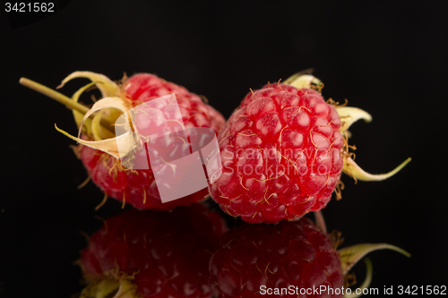 Image of Fresh raspberries