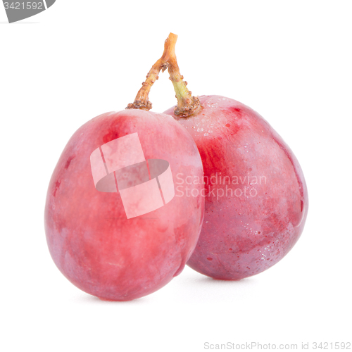 Image of Red grape