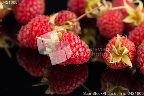 Image of Fresh raspberries